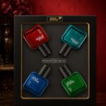 Wild Stone Premium Perfume Set (4×30ml)